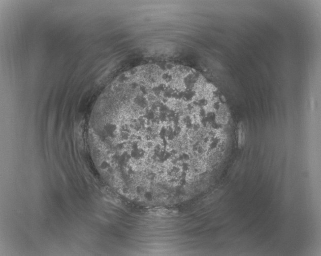 X0000078031059200611251550