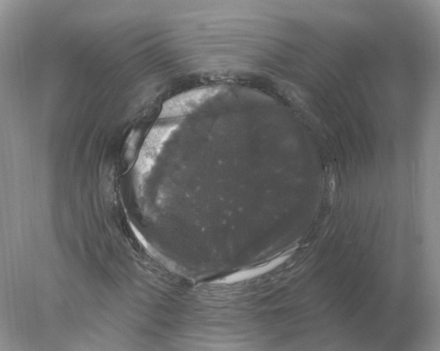 X0000078031060200611251550