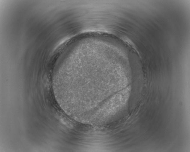 X0000078031064200611251550