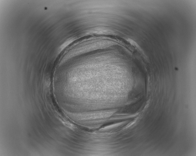 X0000078031065200611251550