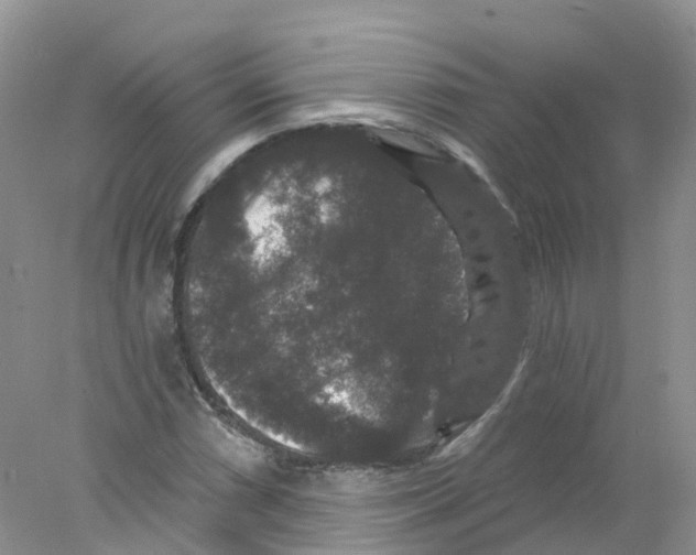 X0000078031066200611251550