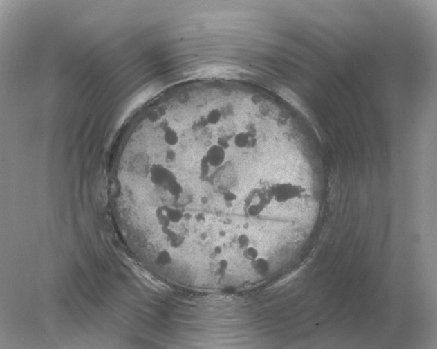 X0000078031067200611251550