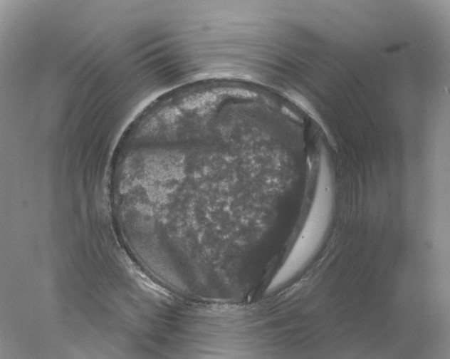 X0000078031068200611251549