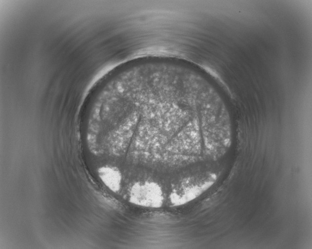 X0000078031070200611251549