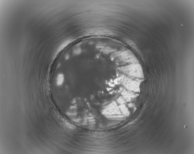 X0000078031071200611251549