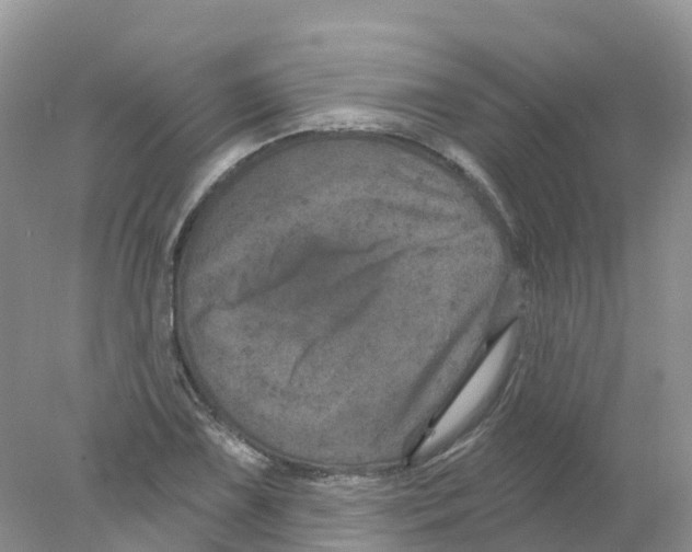 X0000078031075200611251549