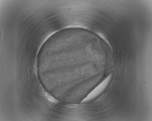 X0000078031076200611251549