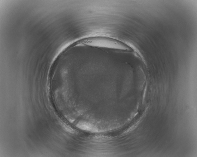 X0000078031077200611251549