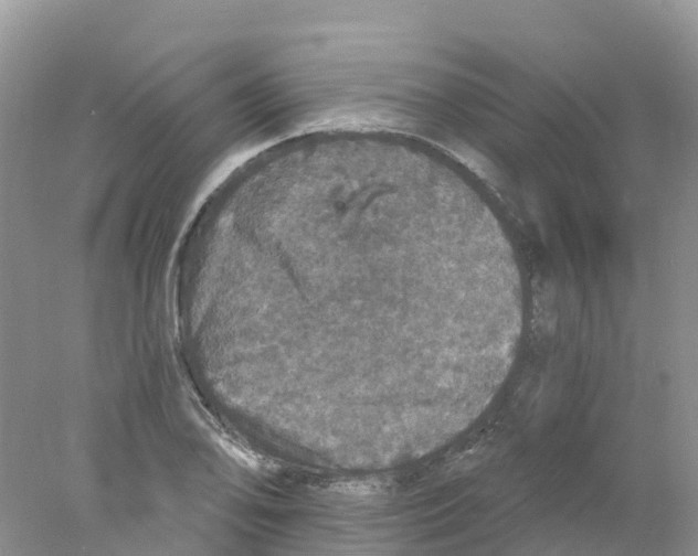 X0000078031078200611251549