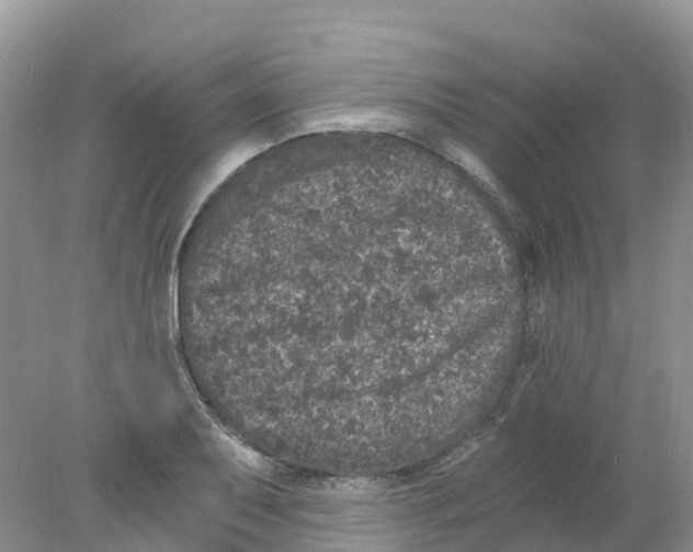 X0000078031079200611251549