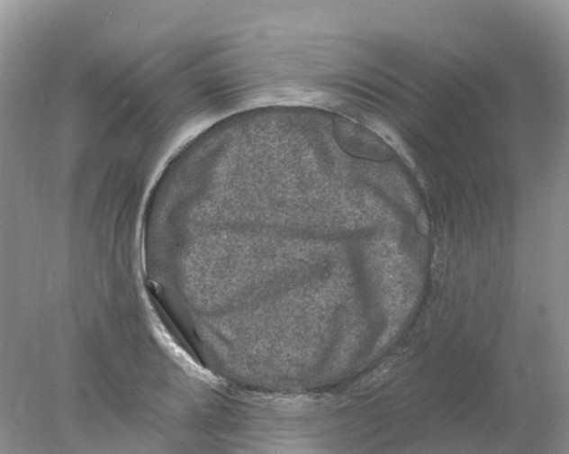 X0000078031080200611251549