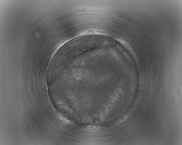 X0000078031081200611251549