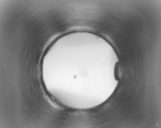 X0000078031082200611251549