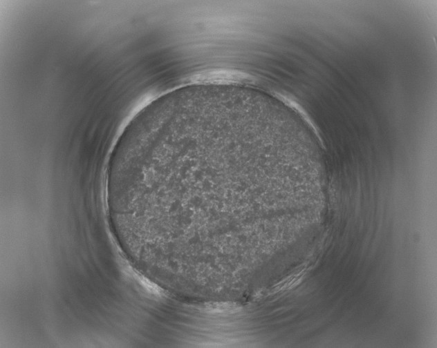 X0000078031083200611251549