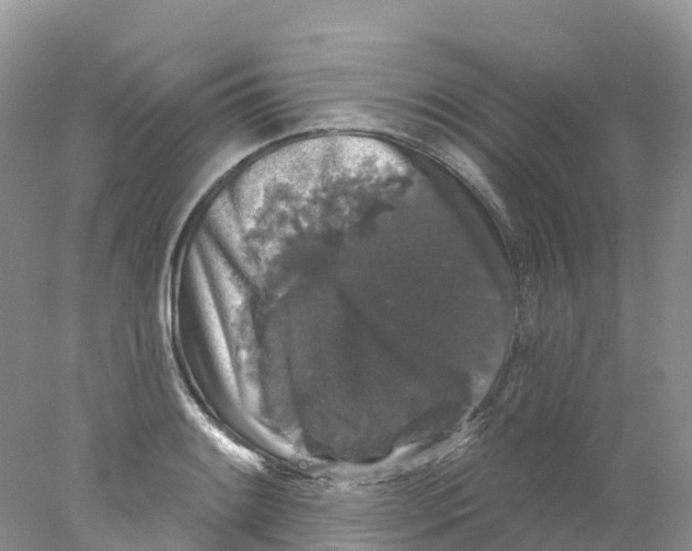 X0000078031084200611251549