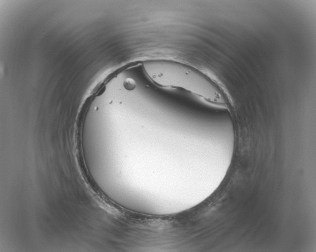 X0000078031085200611251549