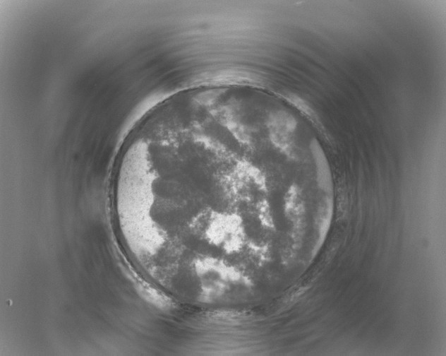 X0000078031086200611251549