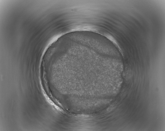 X0000078031088200611251549