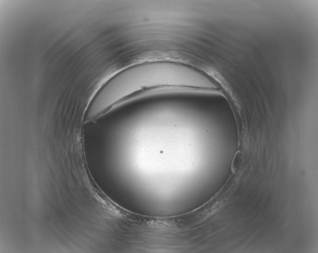 X0000078031089200611251549