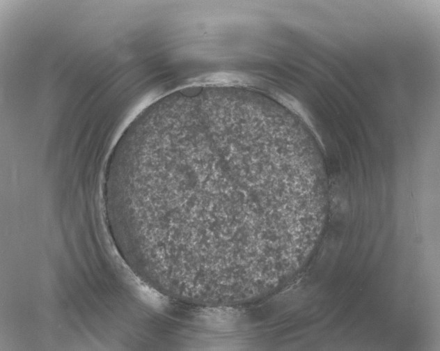 X0000078031091200611251549