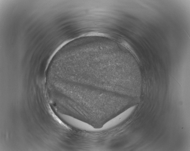 X0000078031092200611251549