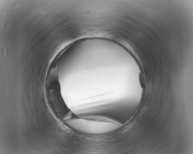 X0000078031093200611251549