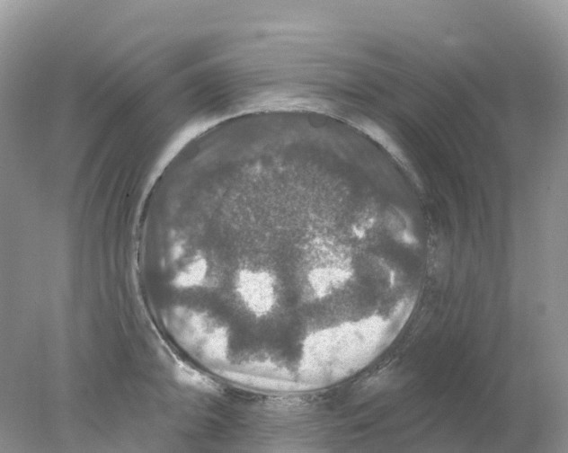 X0000078031094200611251549