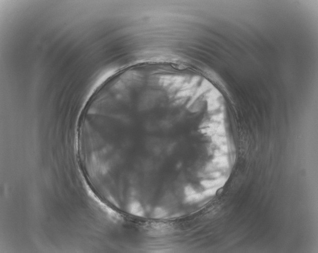 X0000078031095200611251549