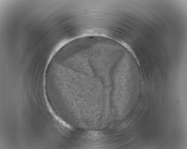 X0000078031096200611251549