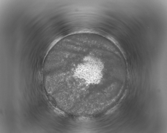 X0000078031097200611251549