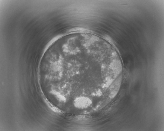 X0000078031098200611251549