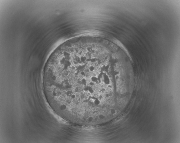 X0000078031099200611251549