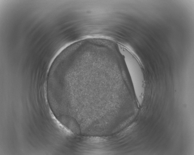 X0000078031100200611251549