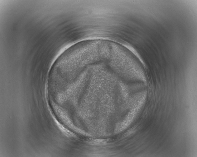 X0000078031101200611251549