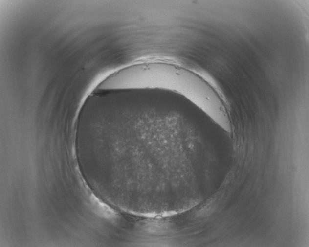 X0000078031102200611251549