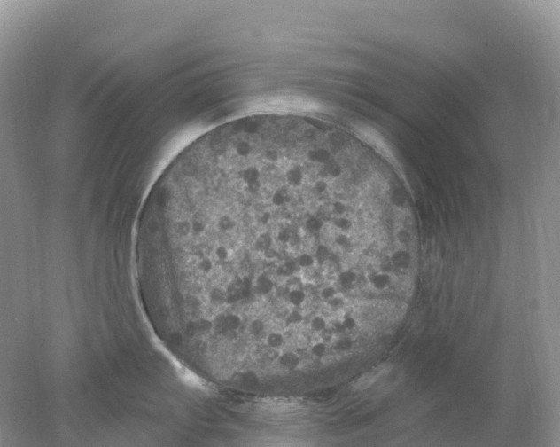 X0000078031103200611251549