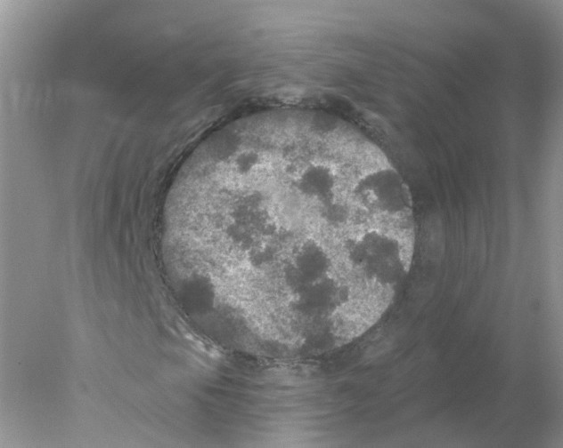 X0000078031105200611251548