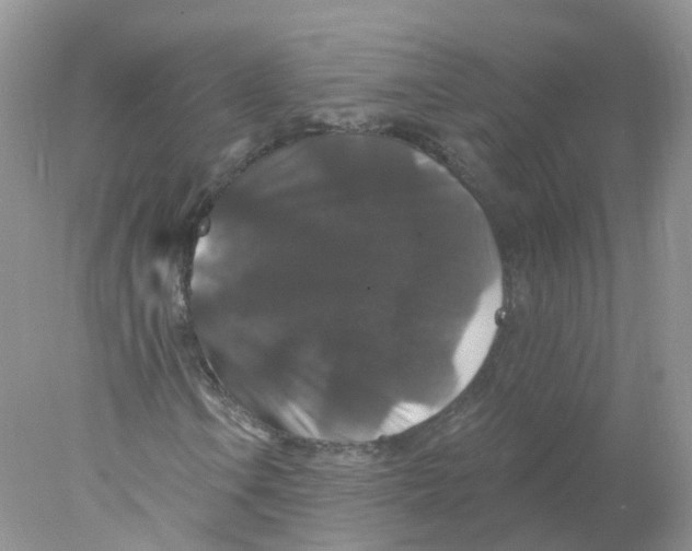 X0000078031106200611251548