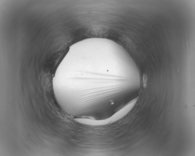 X0000078031107200611251548