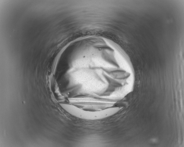 X0000078031109200611251548