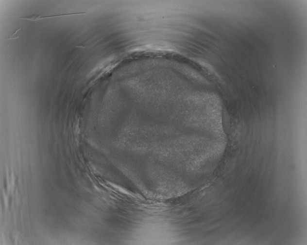 X0000078031110200611251548