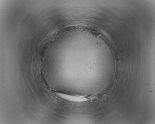 X0000078031111200611251548