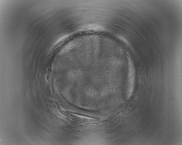 X0000078031112200611251548