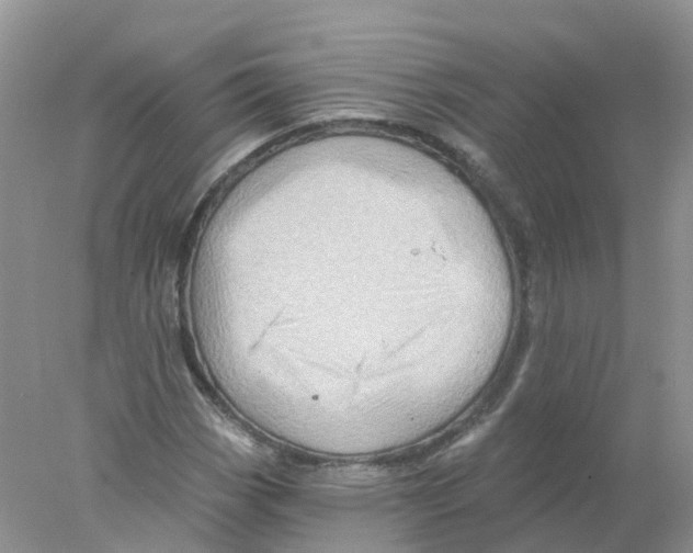 X0000078031113200611251548