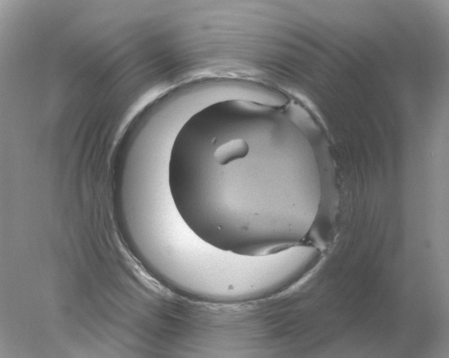 X0000078031114200611251548