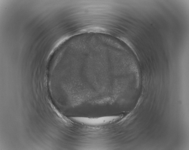 X0000078031115200611251548