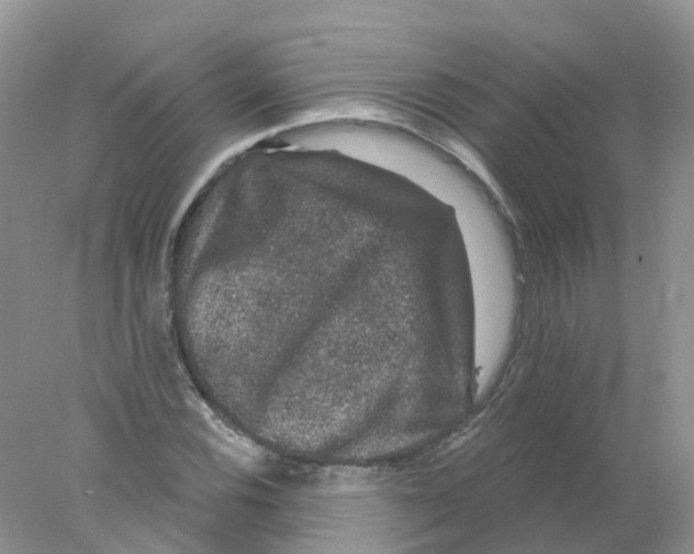 X0000078031116200611251548