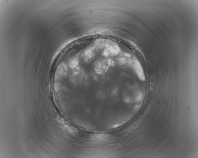 X0000078031117200611251548