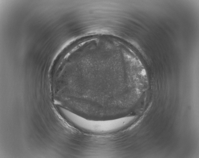 X0000078031118200611251548