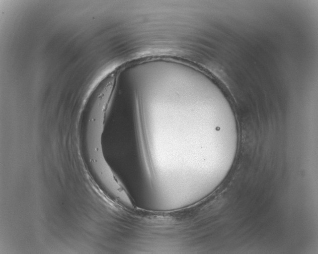 X0000078031119200611251548